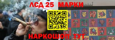 прущие крисы Заводоуковск